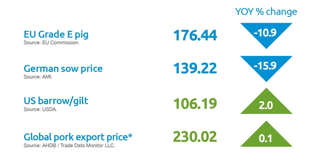 Global pig prices p/kg deadweight